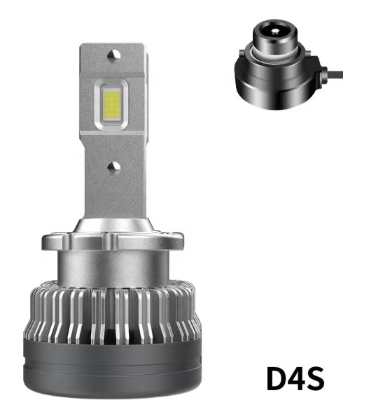 GPNE Y2 D4