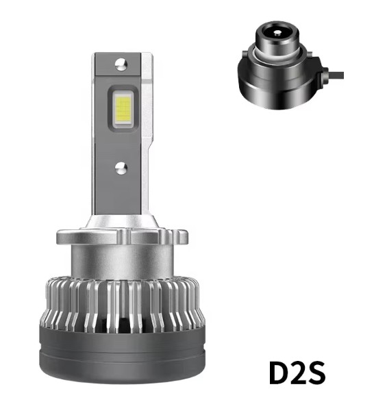 GPNE Y2 D2