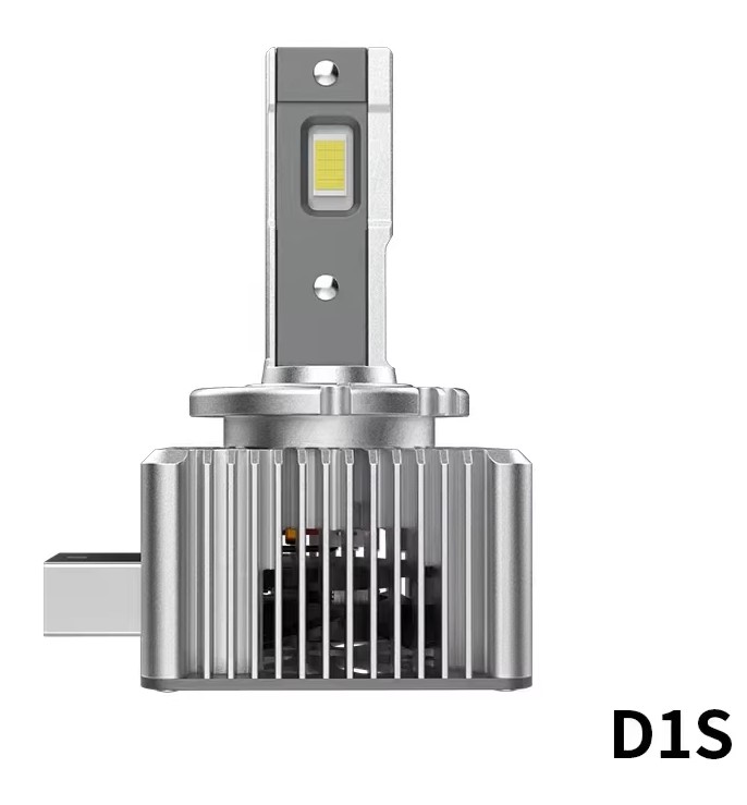 GPNE Y1 D1