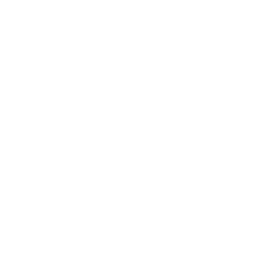 Partner logo 9