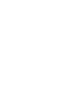 Partner logo 6